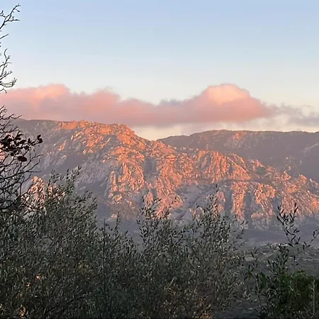 דירה Dans Le Coeur De Sartene, Corse Des Corses Sartène