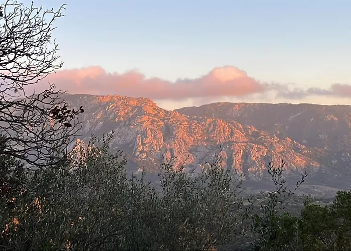 Apartment Dans Le Coeur De Sartene, Corse Des Corses Sartène